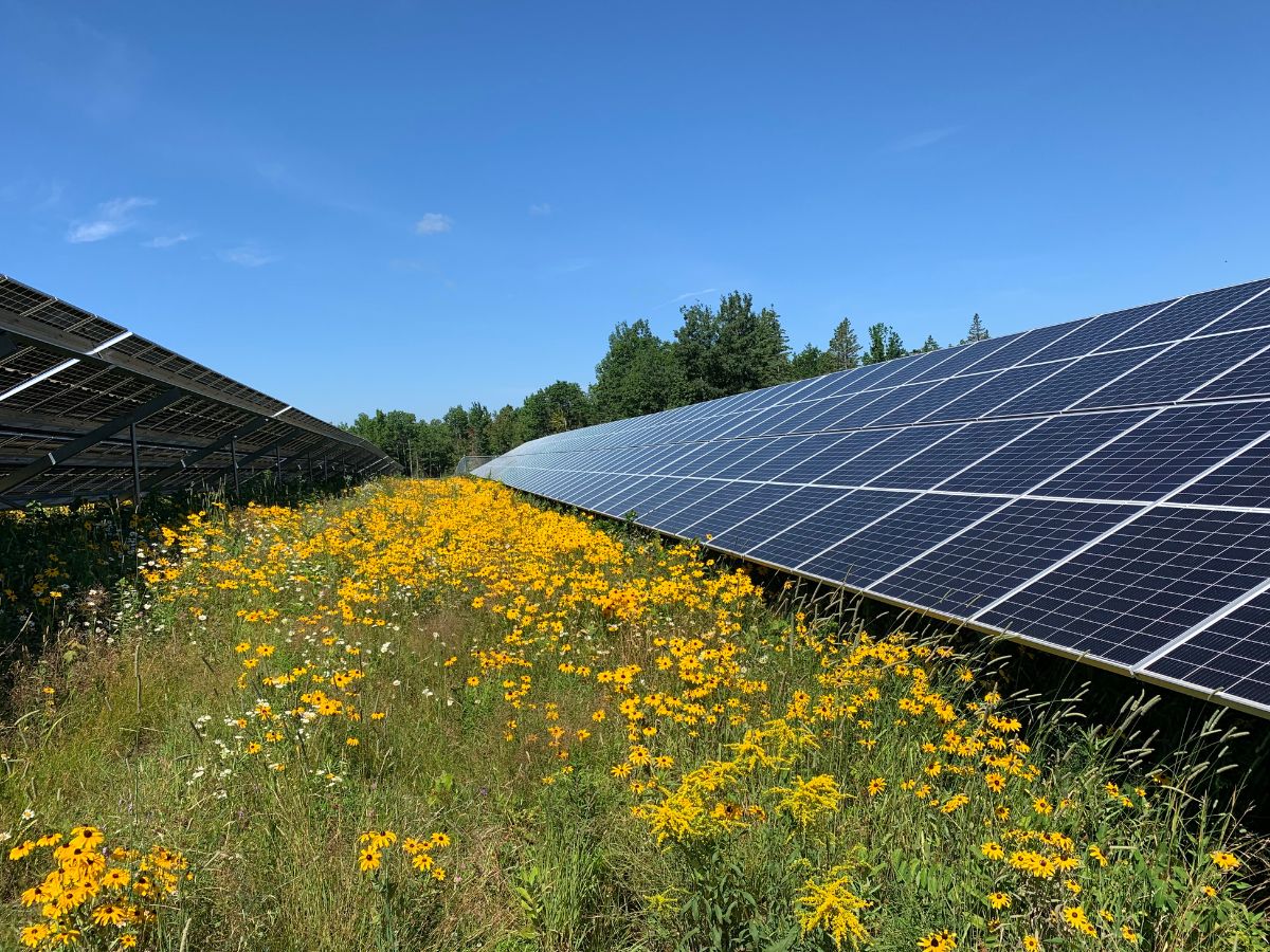 solar farm civil engineering illinois