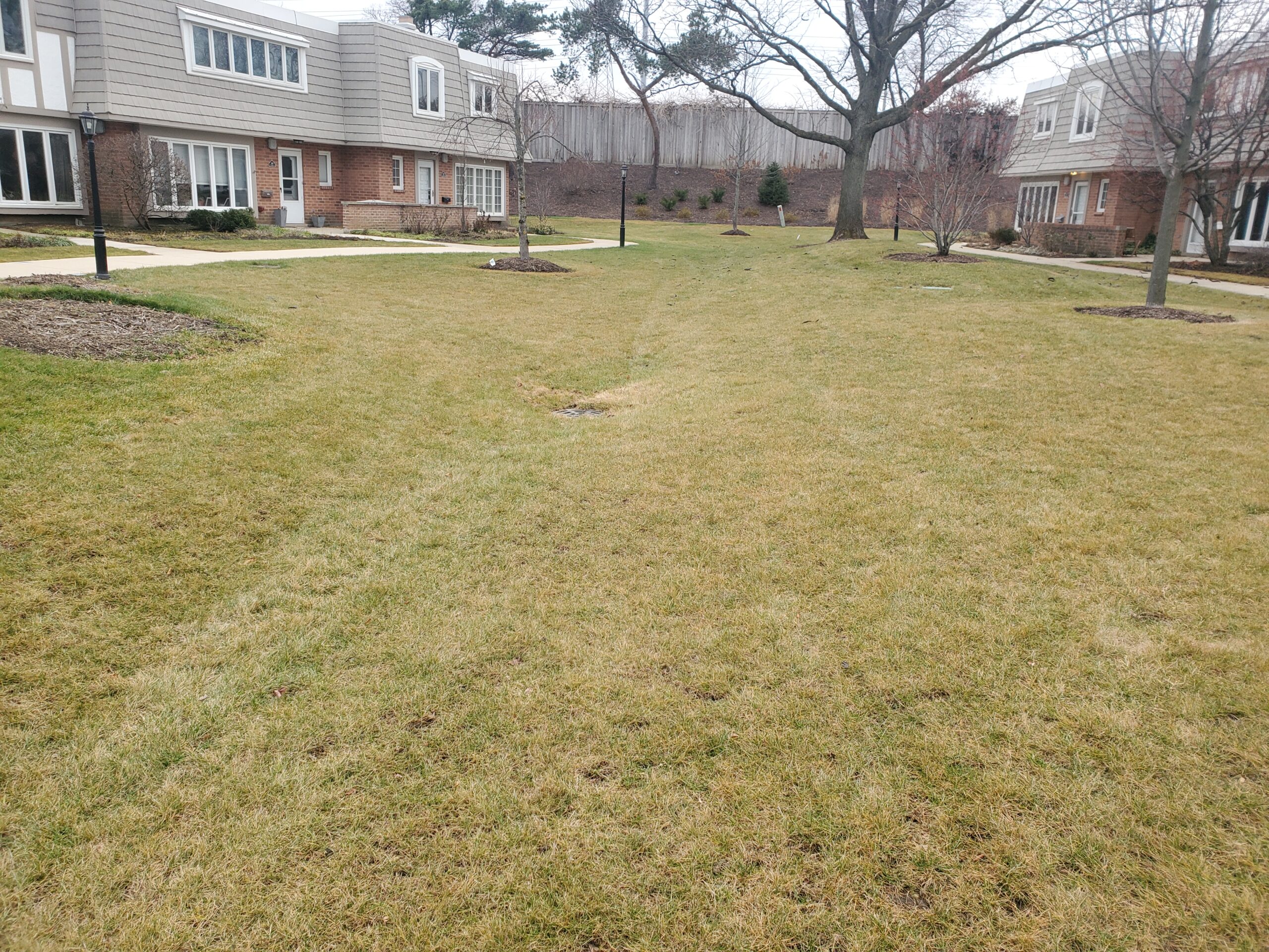 green space of Chantilly Townhouse community that had proper stormwater drainage design installed with view of stormwater drain in center of backyard