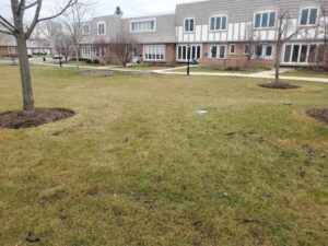 green space of Chantilly Townhouse community that had proper stormwater drainage design installed