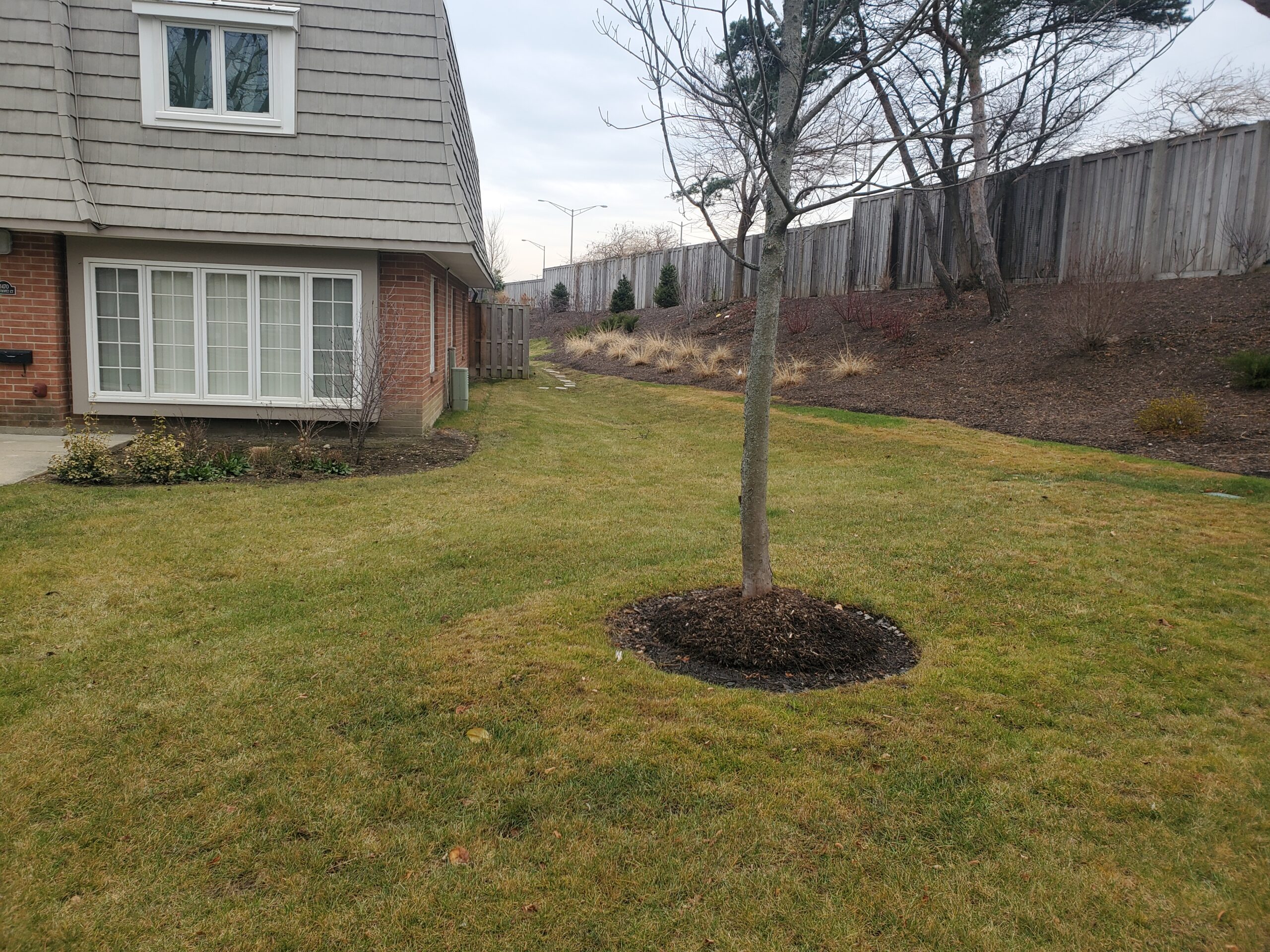 the result of designing and installing proper stormwater drainage in the backyard of the Chantilly Townhouse condo community